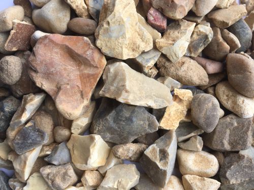 Click Here To Enlarge This Photo Of GOLDEN FLINT